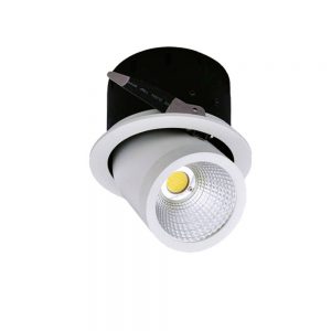 35W LED COB DOWNLIGHT ROTATABLE 6000K – CITIZEN CHIP